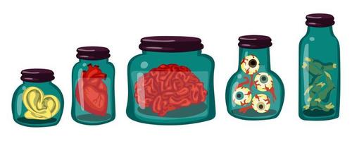 A collection of organs and specimens stored in glass jars. The jars contain human ears, eyes, brains, heart, fingers from zombies. the witch's supplies. Illustration for Halloween. A set for a potion vector