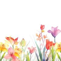 Watercolor spring flowers photo