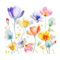 Watercolor spring flowers photo