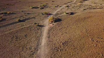 aereo Visualizza di attivo escursionista donna escursioni a piedi su teide nazionale parco. caucasico giovane donna con zaino su tenerife, canarino video