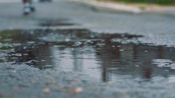 proche en haut coup de jambes de une coureur dans baskets. femelle des sports homme le jogging en plein air dans une parc, faire un pas dans boueux flaque video