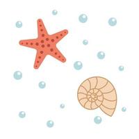 Seashell and starfish flat vector illustration isolated on white background