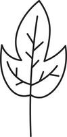 Leaf drawing vector