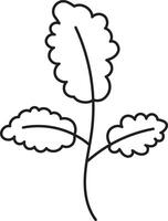 Leaf drawing vector