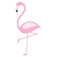 Clip art with a sleeping pink flamingo bird in a simplified flat style on white. vector