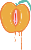 Fruta con contornos hembra labios ilustrador un vagina. png