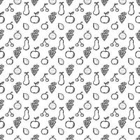 Seamless fruit pattern. doodle background with fruit icons. Fruit background vector