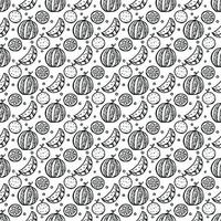 Seamless fruit pattern. doodle background with fruit icons. Fruit background vector