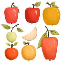 set of apples, healthy vegan illustration with fruits vector