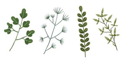 Hand painted botanical illustration, leaves and bramches. Design and print vector