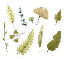 Hand painted botanical illustration, leaves and bramches. Design and print vector