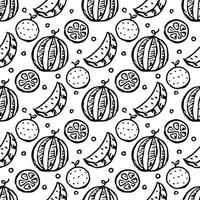 Seamless fruit pattern. doodle background with fruit icons. Fruit background vector