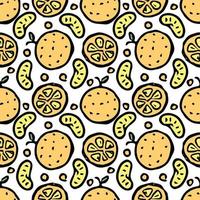 Seamless orange pattern. Colored orange fruit background vector