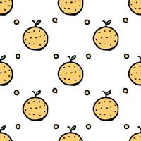 Seamless orange pattern. Colored orange fruit background vector