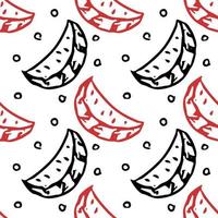 seamless watermelon pattern. vector doodle illustration with watermelon. pattern with watermelon