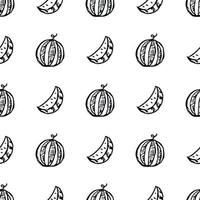 seamless watermelon pattern. vector doodle illustration with watermelon. pattern with watermelon