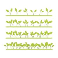 Germinated and planted seeds in a row vector