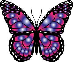 butterfly t shirt design vector