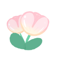 Cute pastel tulips flower stationary sticker png