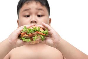 pork hamburger on obese fat boy hand background isolated photo