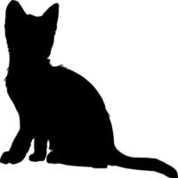 Vector silhouette of Cat on white background