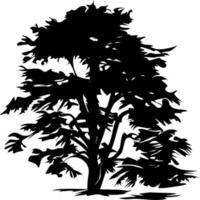 Vector silhouette of Tree on white background