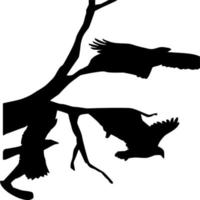 Vector silhouette of Birds on white background