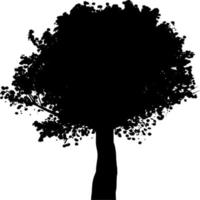 Vector silhouette of Tree on white background