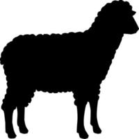 Vector silhouette of sheep on white background