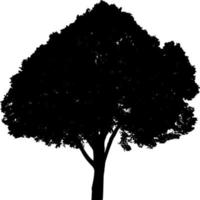 vector silueta de árbol en blanco antecedentes