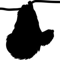 Vector silhouette of Sloth on white background