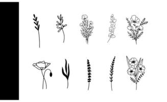 Wild and Whimsical Botanical Sketches A Versatile Set of Hand-Drawn Elements for Creative Designs and Decorations vector