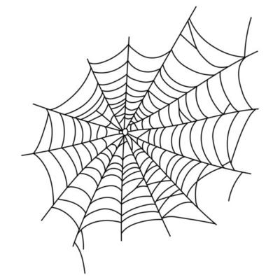 Scary spider web isolated. Spooky Halloween decoration. Outline cobweb illustration