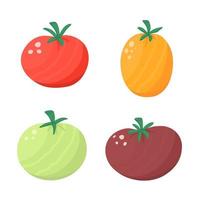 Tomato set, red, green tomato, yellow and dark red tomato, harvest. Illustration for backgrounds and packaging. Image can be used for posters and stickers. Isolated on white background. vector