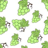 seamless pattern with grape and leaves vector