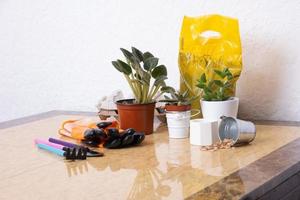 Plants and gardening tools with gloves, seed and pots on marble table. Home gardening concept photo