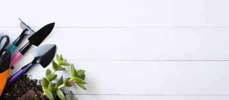 Home plants and the soil, pots and gardening tools flat lay, top view. Home gardening concept. Banner with copy space photo