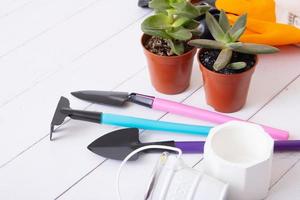 Plants and gardening tools with gloves, pots on wooden table. Home gardening, spring planting concept photo