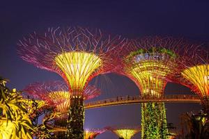 SINGAPORE-SEP 04-Night view of The Supertree Grove at Gardens by the Bay on SEP 04, 2014 in Singapore behind Marina Bay sand photo