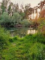 parque imágenes desde balaguer, lérida, España foto