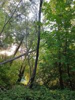 parque imágenes desde balaguer, lérida, España foto