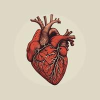 Human heart with veins and arteries. Vector illustration in vintage style.