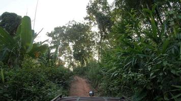 dirigir automóvel veículo através profundo ecossistema natureza floresta, transporte passeio viagem sombra verde região selvagem aventura viagem conceito video