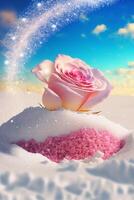 pink rose sitting on top of a pile of snow. . photo