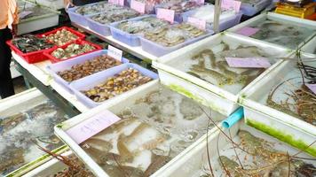 vario fresco frutti di mare a un' strada mercato nel Tailandia. esotico asiatico prelibatezze video