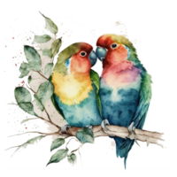 Lovebird Watercolor art . AI Generated png