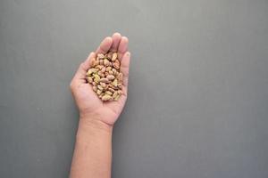 close up of pistachios nut on hand photo