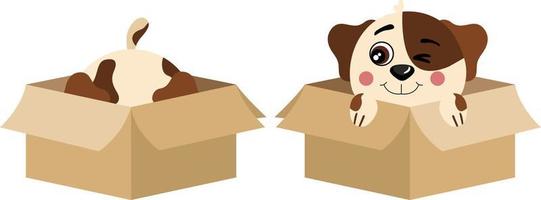 Cute funny dog in cardboard box vector