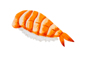 Nigiri sushi with shrimp . Japanese food  Hand drawn watercolor png