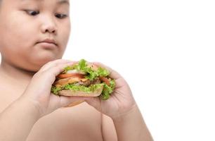 Cerdo hamburguesa en obeso grasa chico mano antecedentes aislado foto
